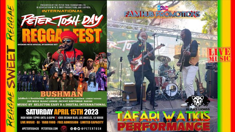 Tafari Watkis Performance @ Peter Tosh Reggae Fest 2023